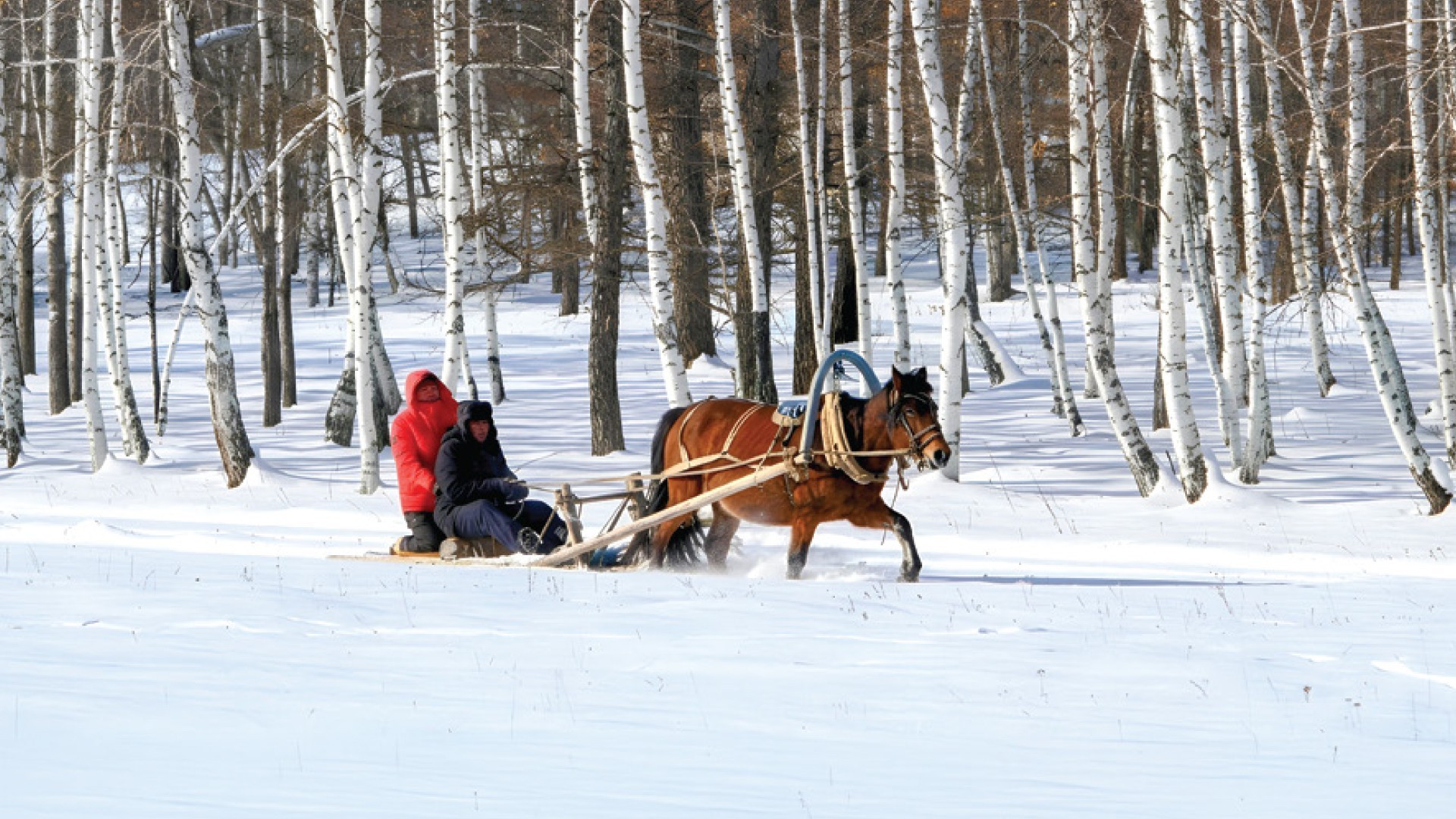 8D6N NORTHEAST WINTER WONDERLAND & BEIJING HERITAGE TOUR (JILIN· SNOW TOWN· HARBIN· BEIJING) photo 7258