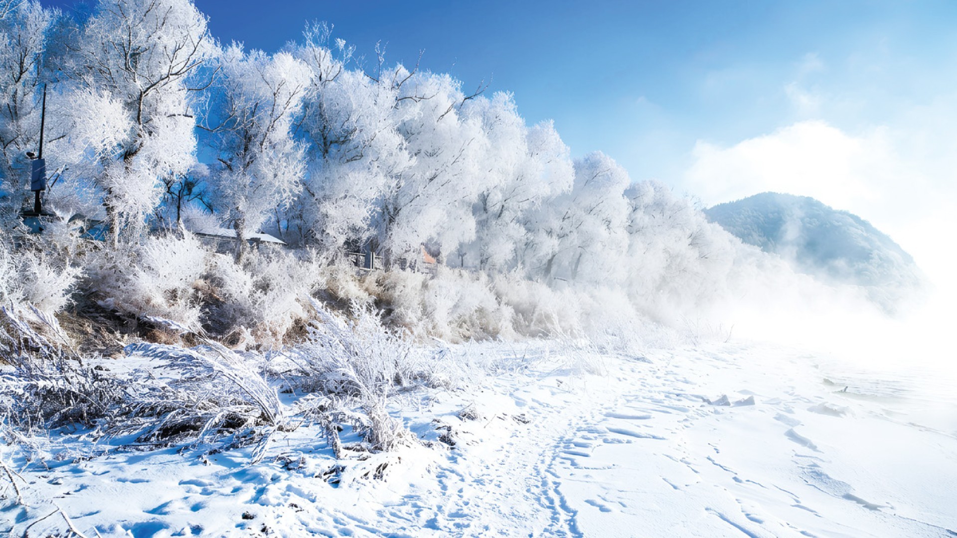 8D6N NORTHEAST WINTER WONDERLAND & BEIJING HERITAGE TOUR (JILIN· SNOW TOWN· HARBIN· BEIJING) photo 7262
