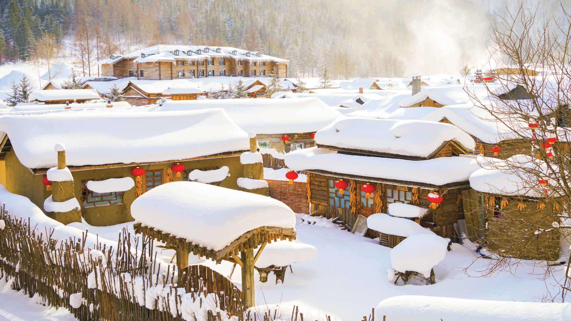 9D7N HARBIN THE SNOW WORLD (MT.CHANGBAI+ICE&SNOW WORLD) photo 7266