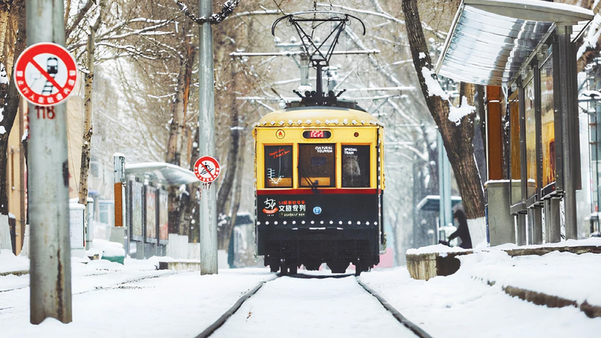 9D7N HARBIN THE SNOW WORLD (MT.CHANGBAI+ICE&SNOW WORLD) photo 7267