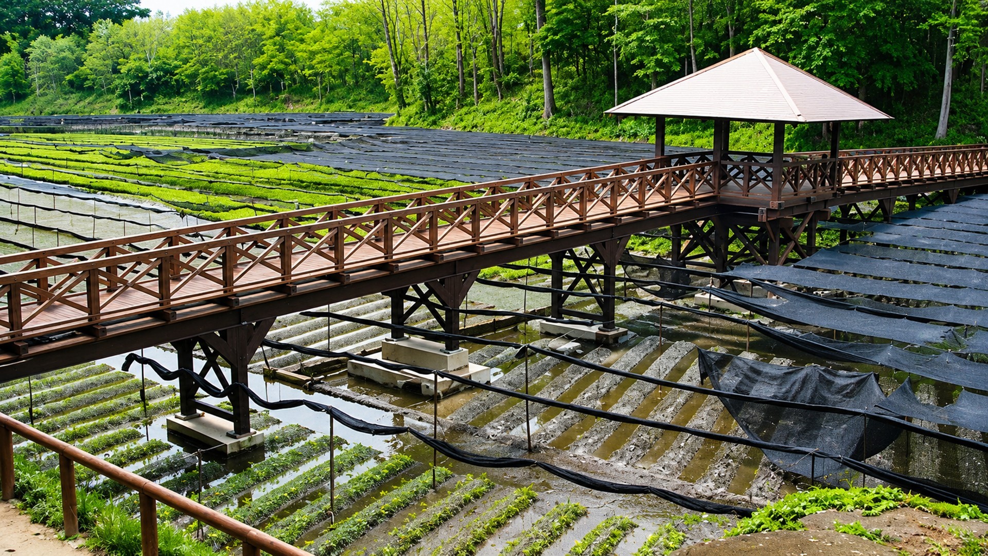 7D Hida Mountains & Tokyo Fuji photo 7328