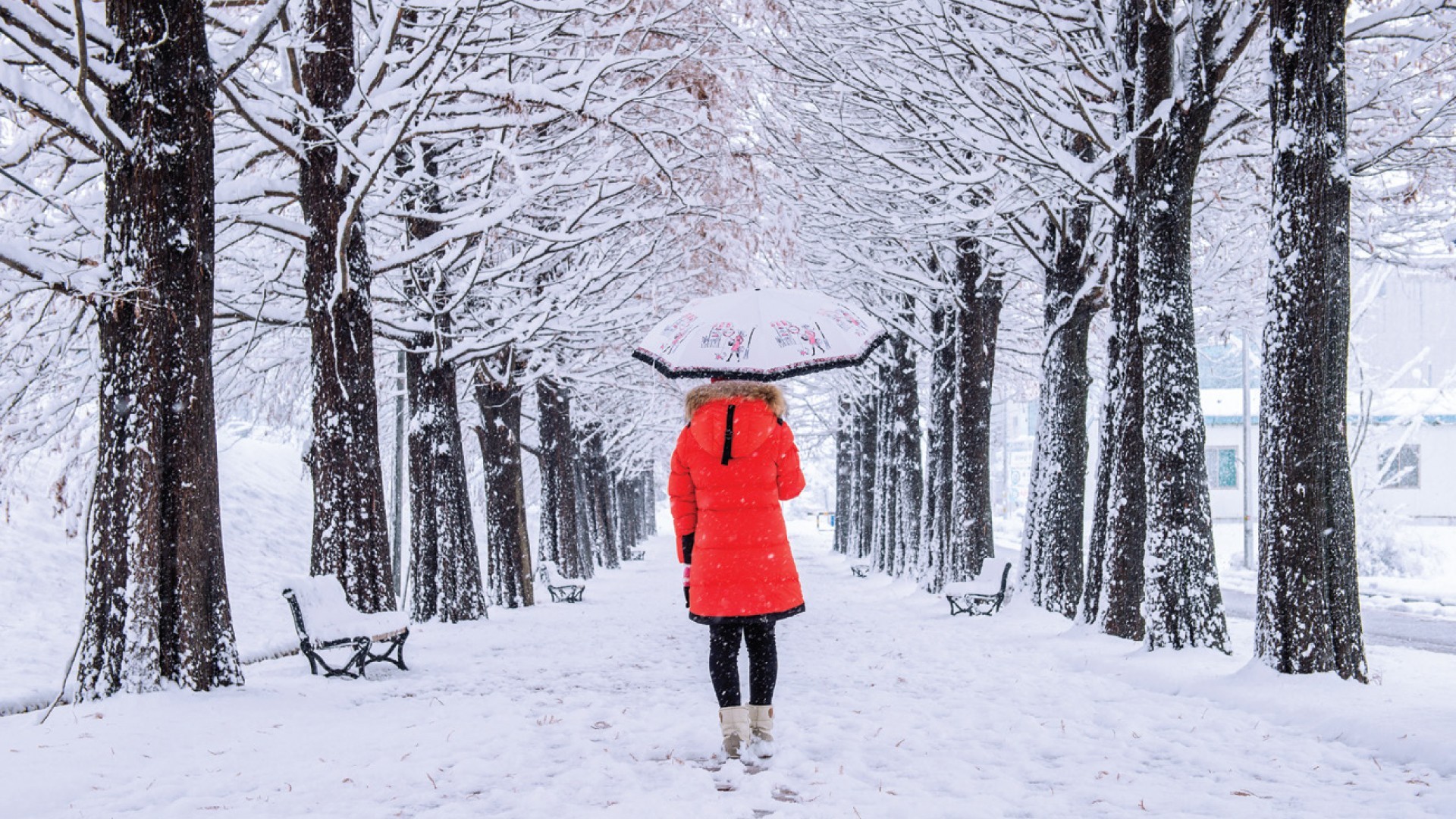 6D4N SEOUL/NAMI ISLAND/MOUNT SORAK+SKI FUN photo 7339