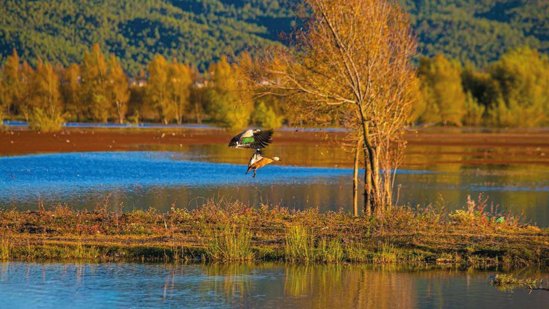 8D7N YUNNAN WINTER KUNMING / DALI / LIJIANG / SHANGRI-LA / BALAGEZONG photo 7349