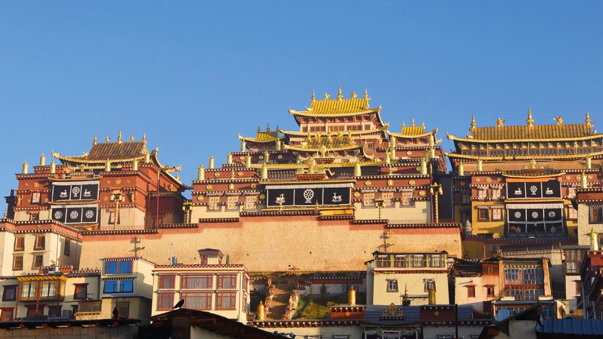 8D7N YUNNAN WINTER KUNMING / DALI / LIJIANG / SHANGRI-LA / BALAGEZONG photo 7351