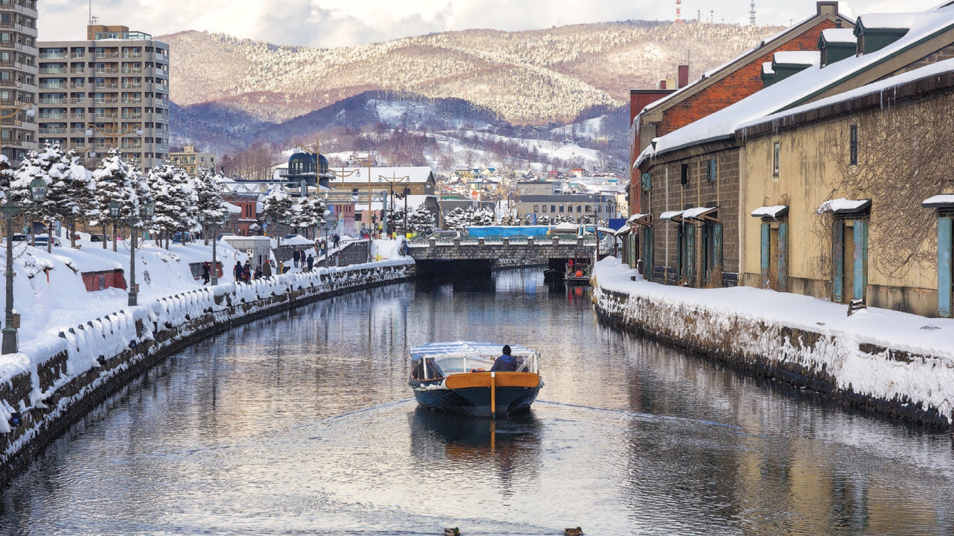 7D5N HOKKAIDO の SKI FUN +1 DAY FREE AND EASY photo 7375
