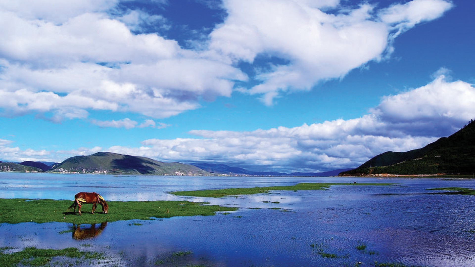 9H7M Enchanting Yunnan & Shangri-la photo 7438