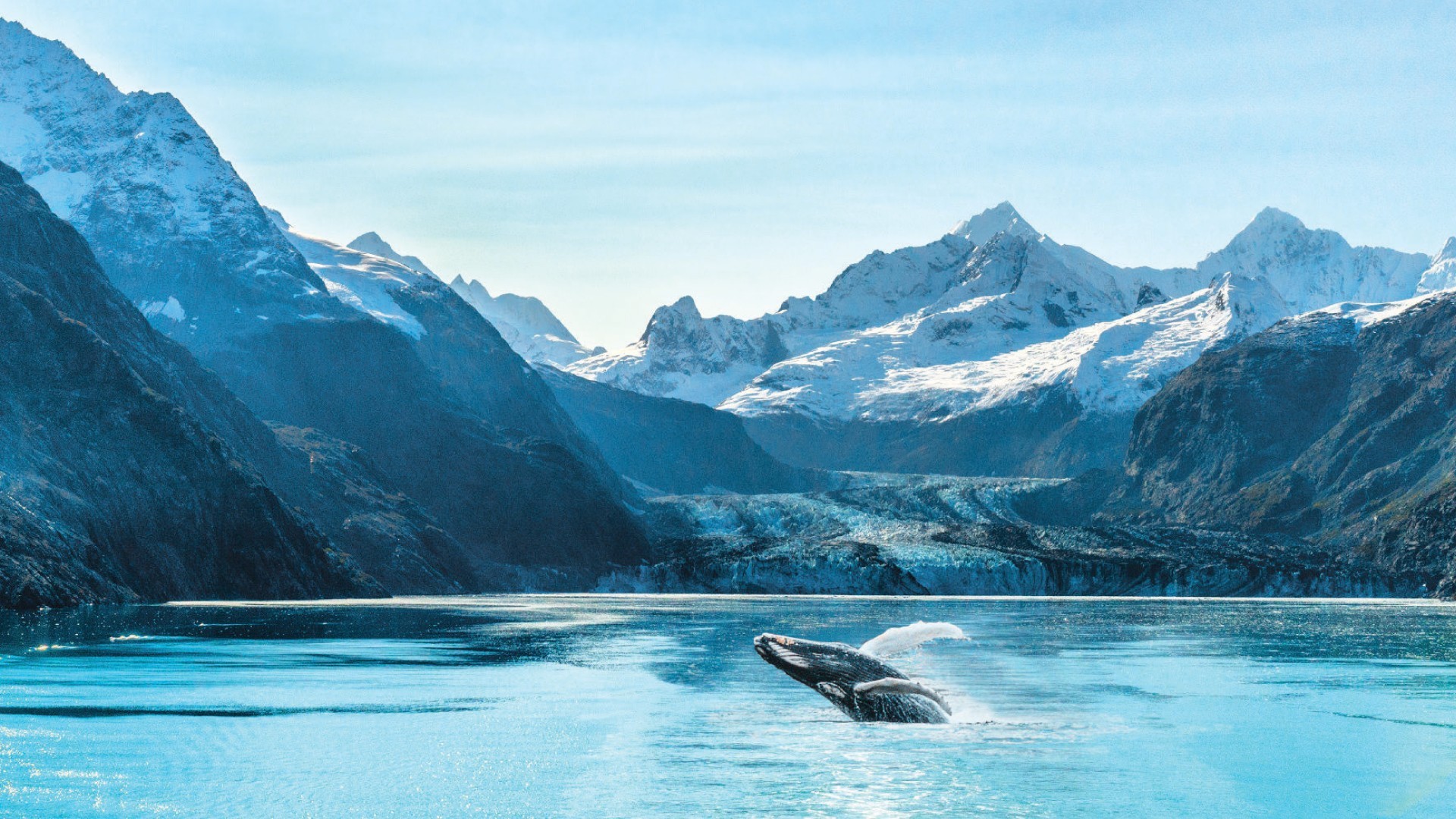 16D Let’s Go Alaska Cruise + Canadian Rockies - Royal Princess photo 7601