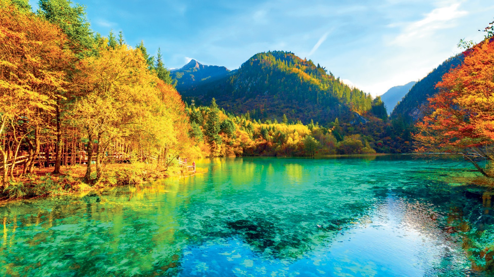 9D7N CHENGDU/JIUZHAIGOU/HUANGLONG/CHONGQING/WULONG photo 7688