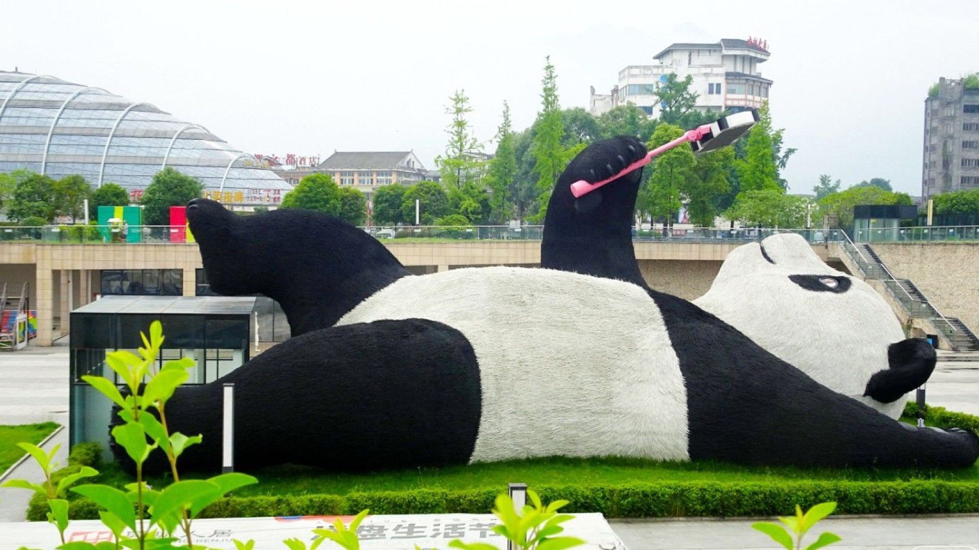 6D5N Chengdu Muslim Private Tours photo 7747