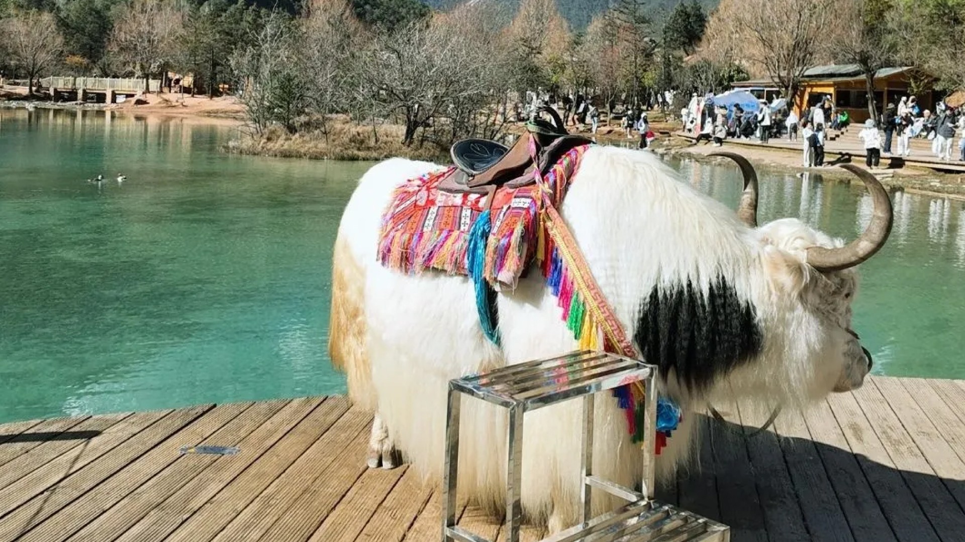 8D7N Kunming + Shangri-La Muslim Private Tours photo 7762