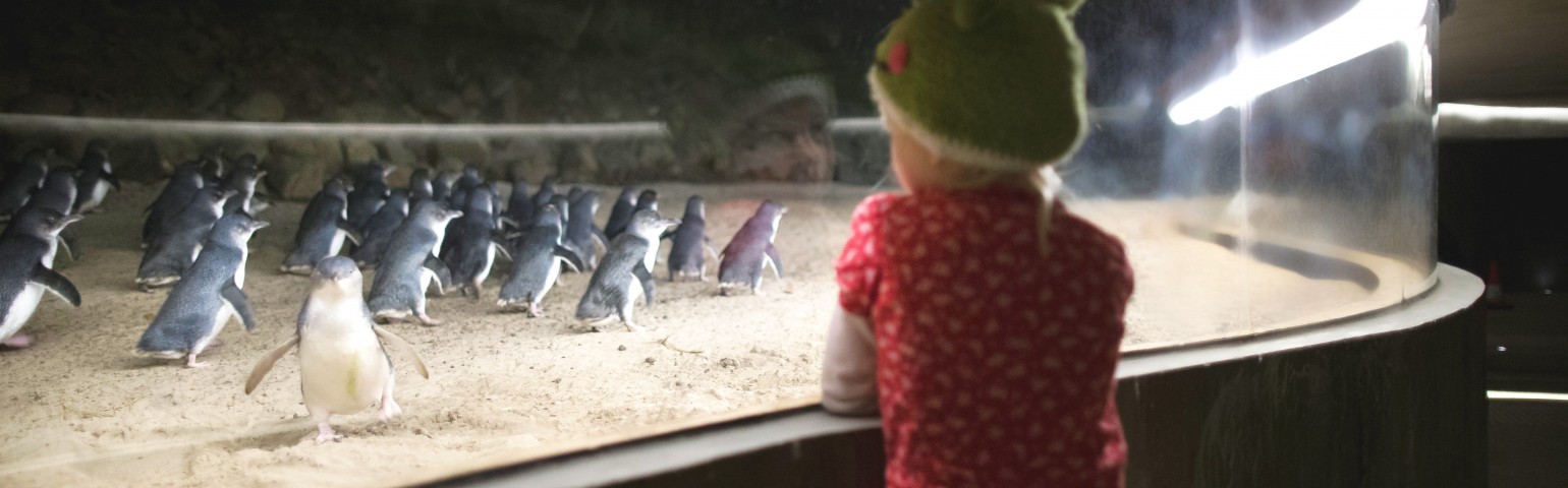 Melbourne 5D4N Muslim Private Tour photo 27