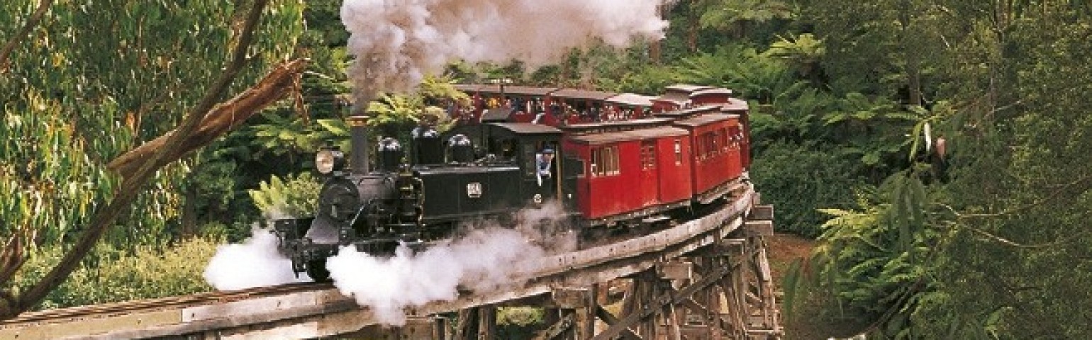 Melbourne - Puffing Billy Steam Train & Healesville Wildlife (Full Day) photo 83