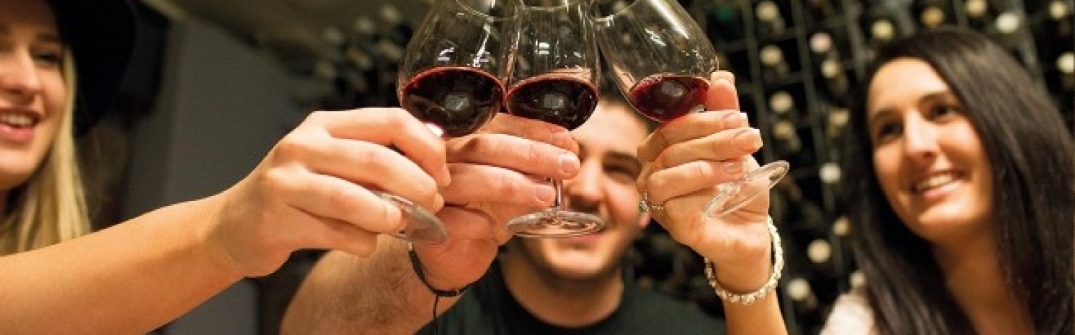 Sydney - Hunter Valley Harvest Wine Experience (Full Day) photo 93