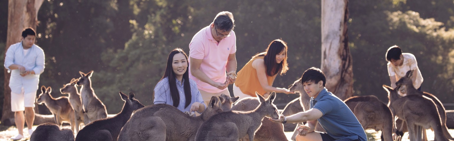 Gold Coast - 5D4N Muslim Private Tour photo 96