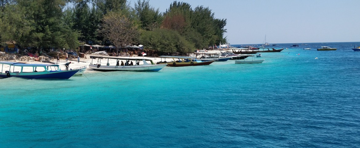 Lombok - 4D3N Exotic Trawangan photo 247