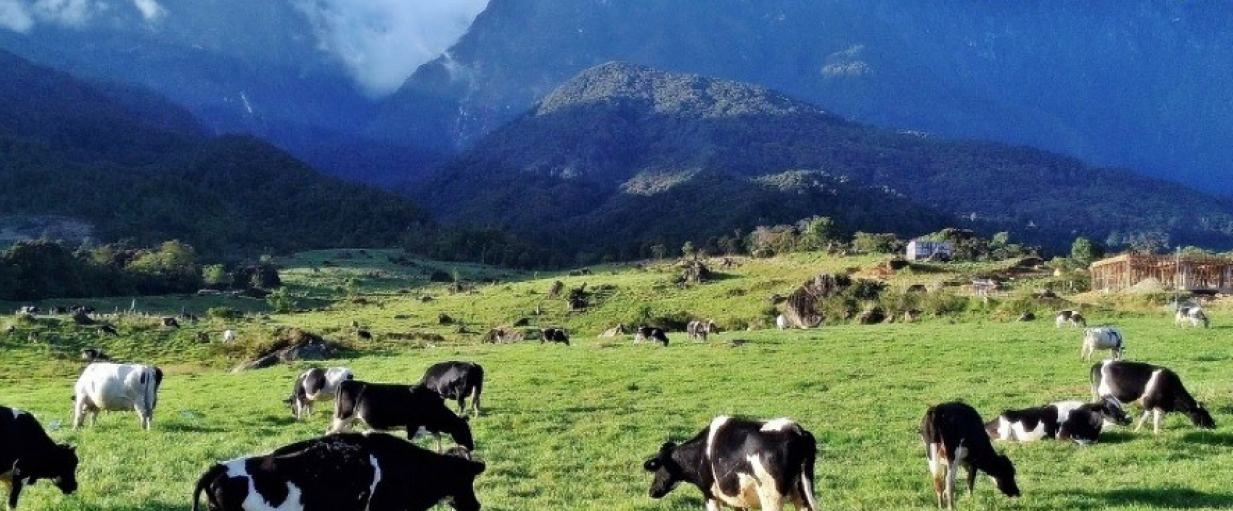 Sabah Naturally + Desa Dairy Farm - 4D3N | Sabah | Malaysia | Land Only