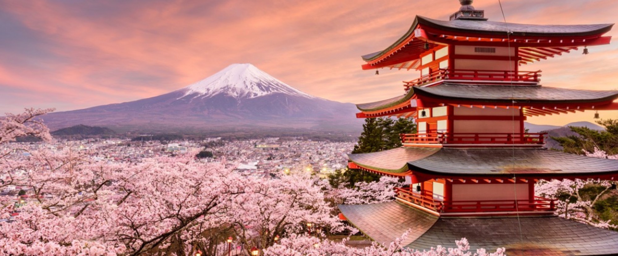 Tokyo Mt Fuji Hakone 5 Days 4 Nights Tokyo Japan Land Only Tour Af Travel