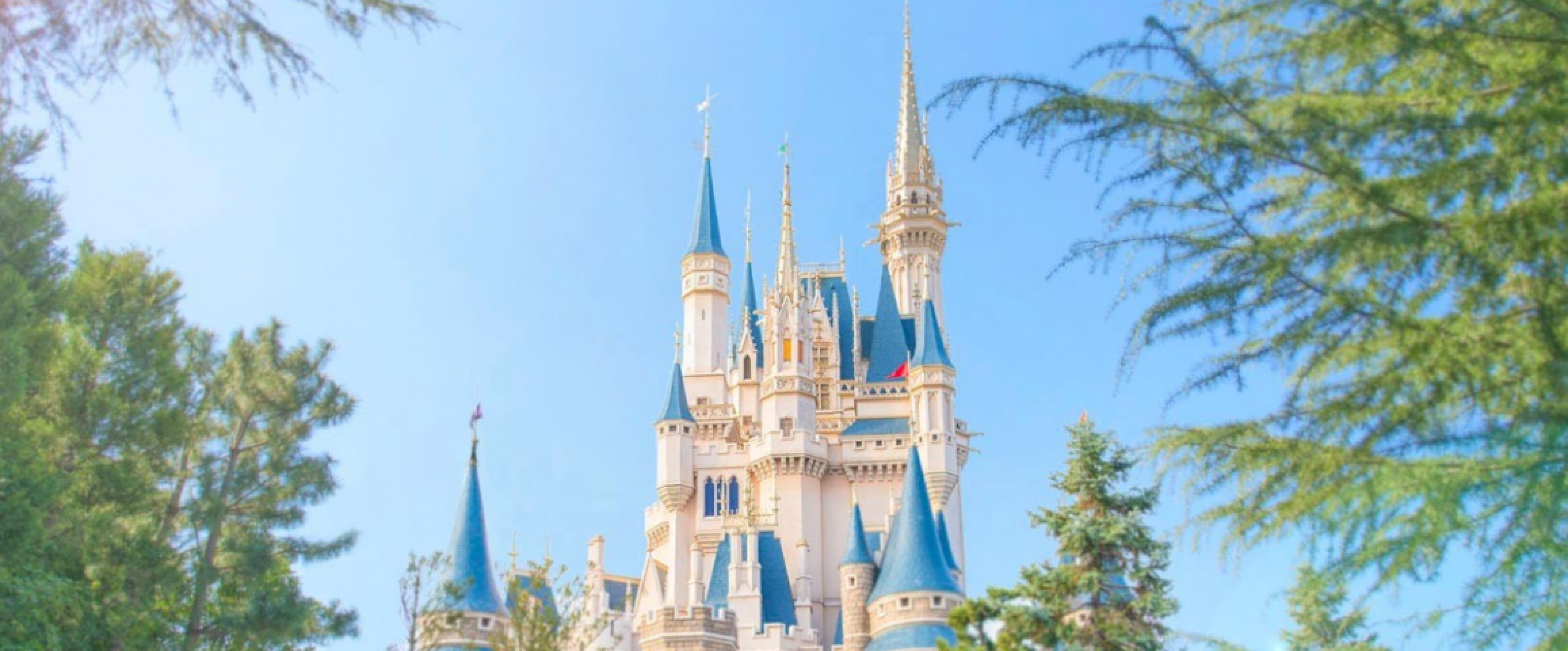 Tokyo Disneyland + Mt. Fuji (HND Arrival) photo 259