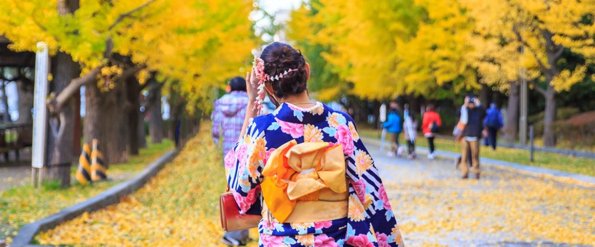 Scenic Hokkaido - 7 Days 6 Nights photo 264