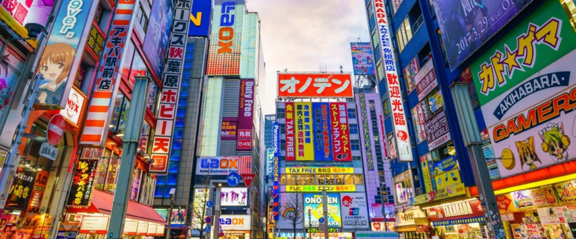 Tokyo + Disneyland (Muslim Private Tour) photo 353