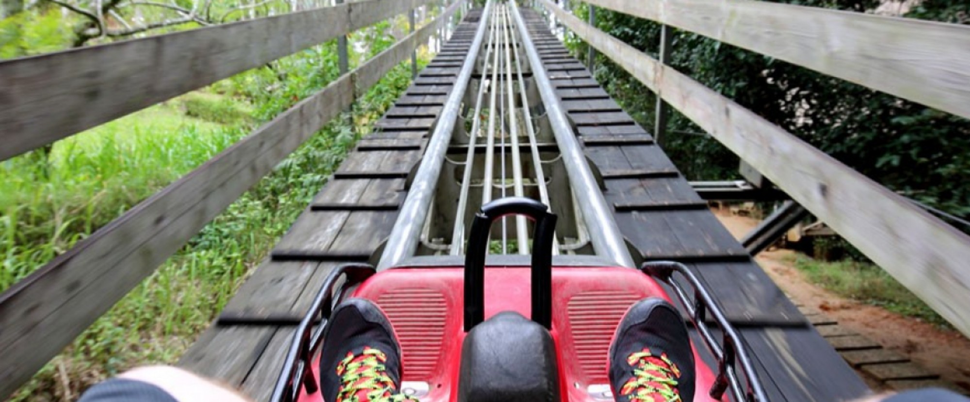 Da Lat - 3D2N Flower City photo 405