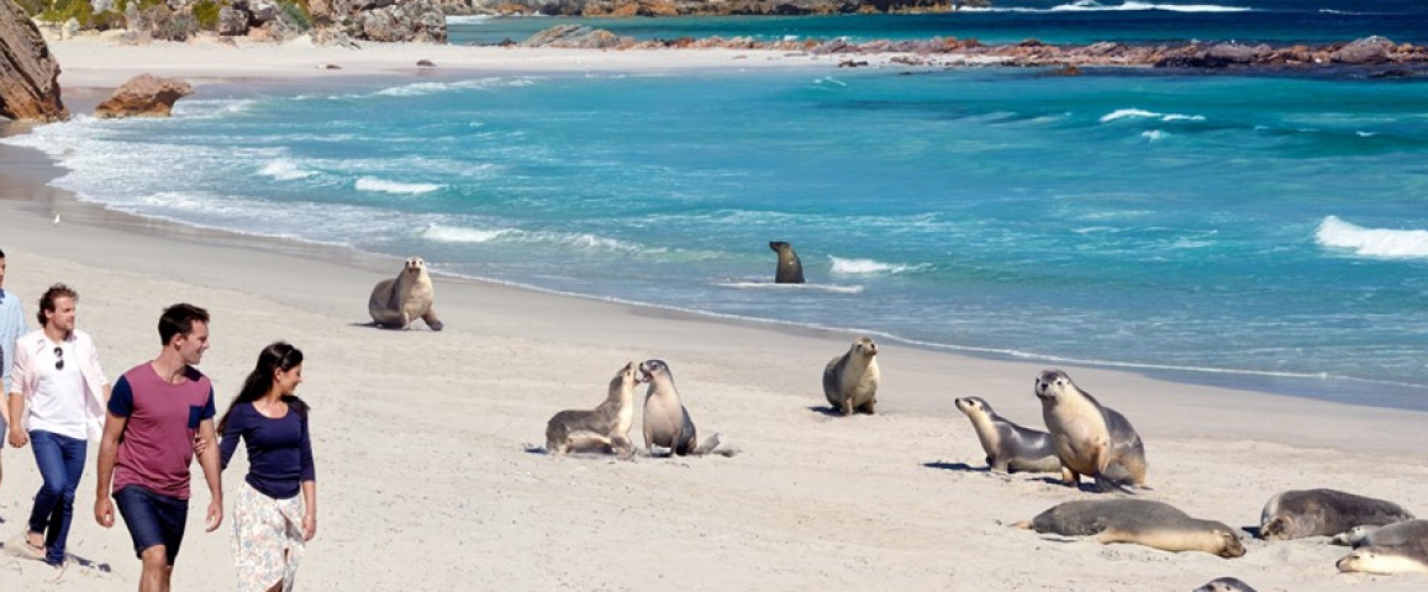 Adelaide - 5D4N Kangaroo Island Experience photo 185