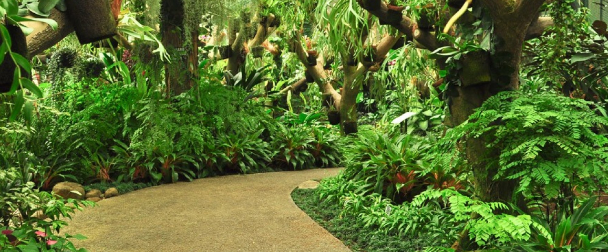 Jakarta - 5D4N Jakarta Puncak Bandung photo 435