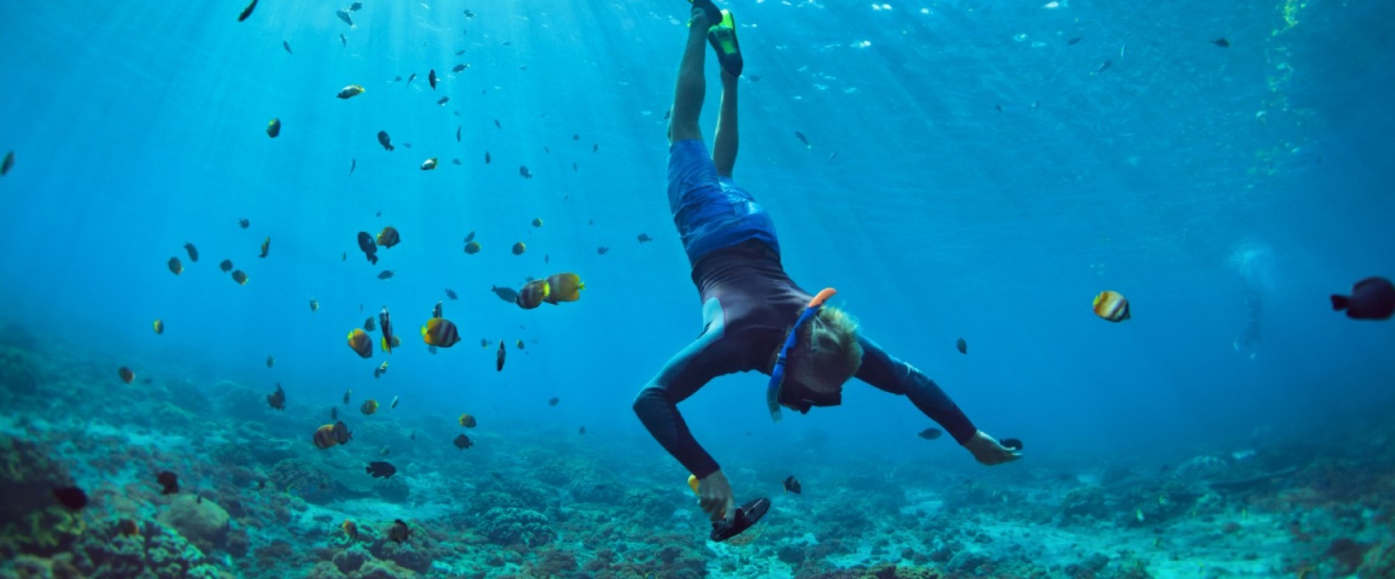 Layang-Layang Diving Package - 6D5N photo 469