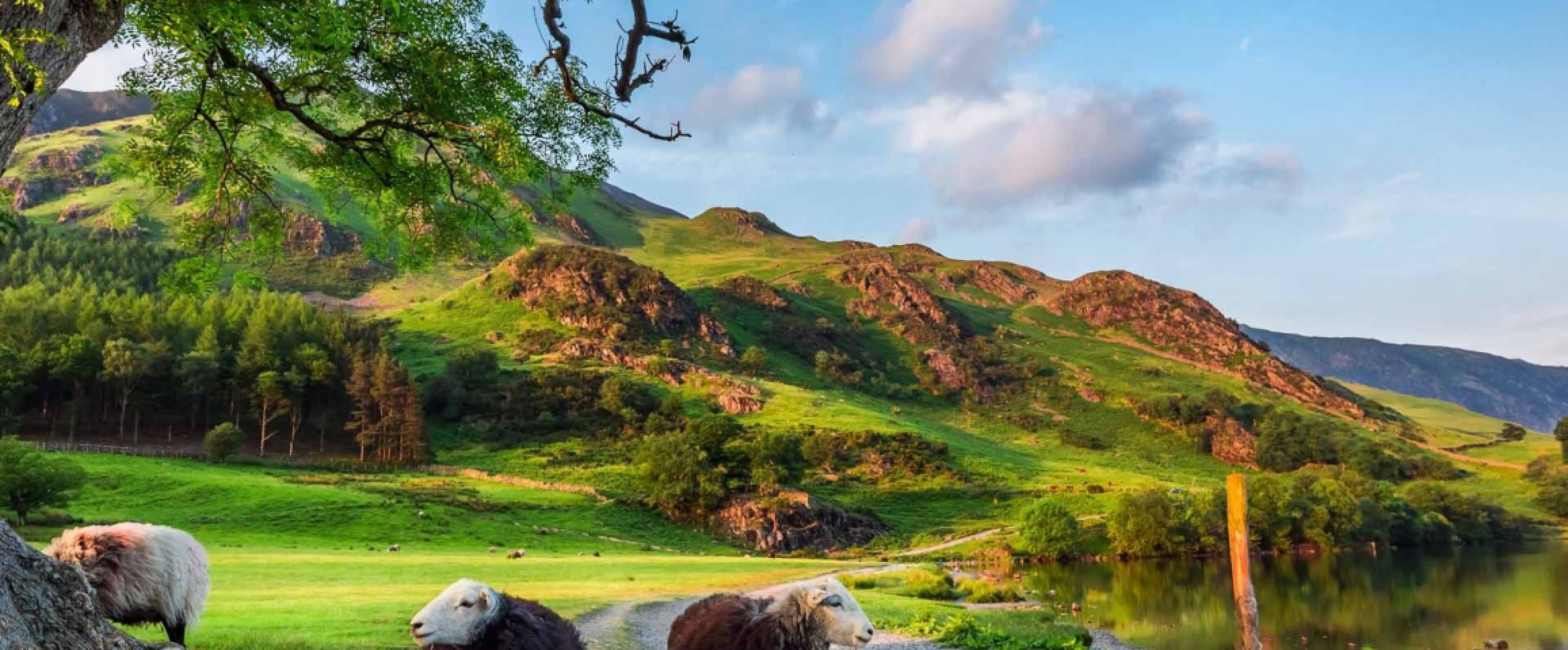 8 Days Britain And Ireland Delight photo 602