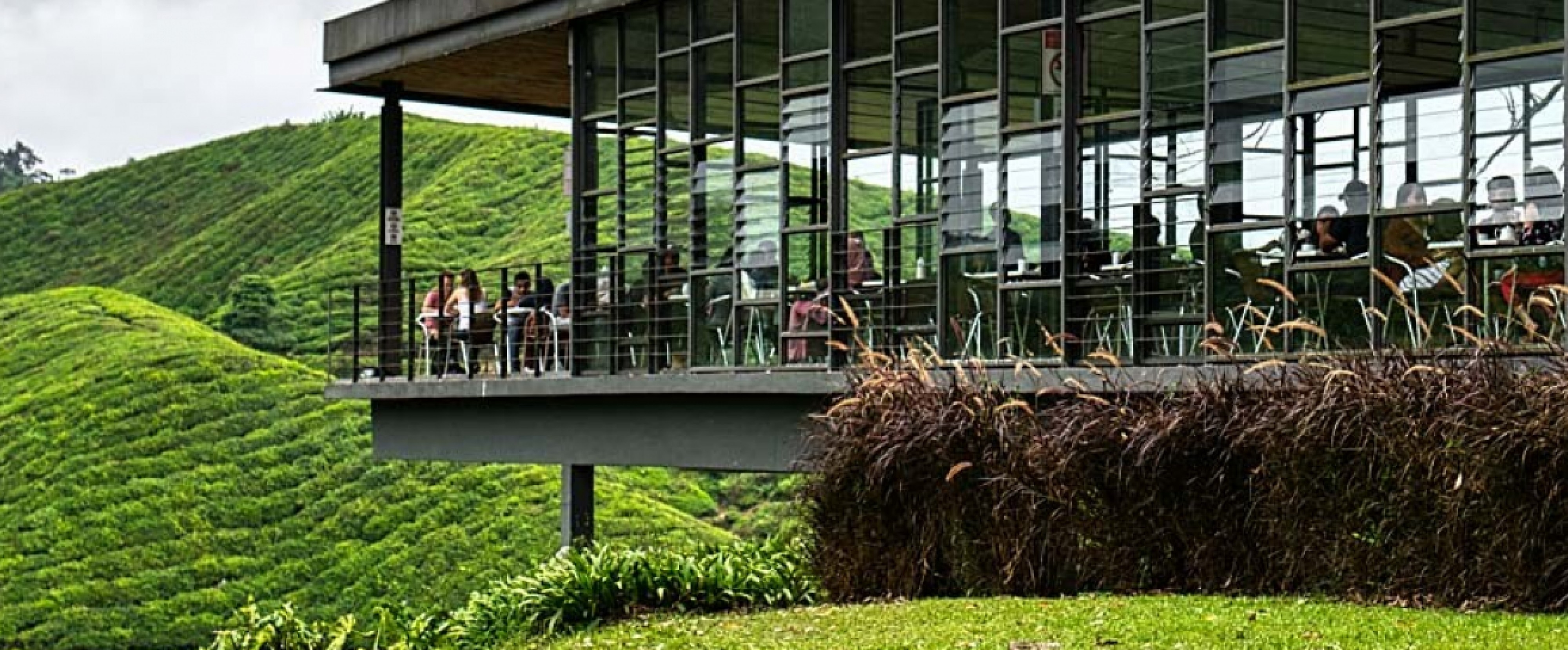 Full Day Cameron Tour photo 649