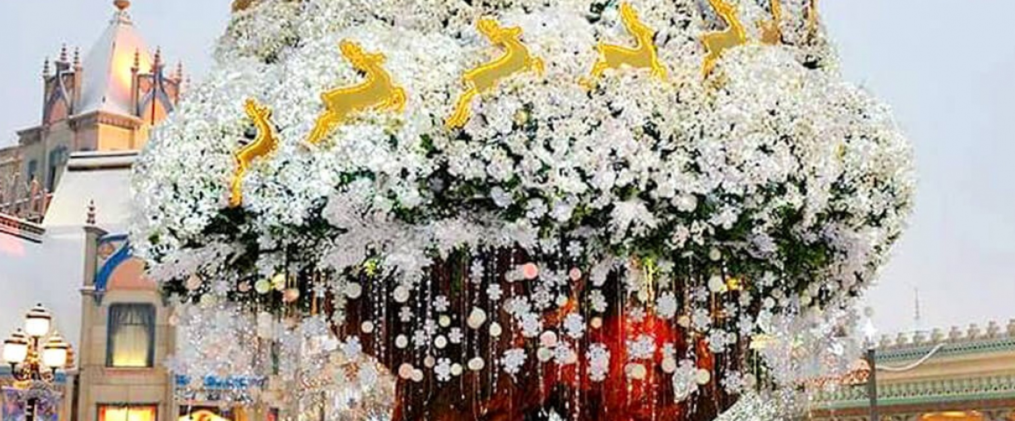 7D6N Winter in Seoul + Jeju photo 655