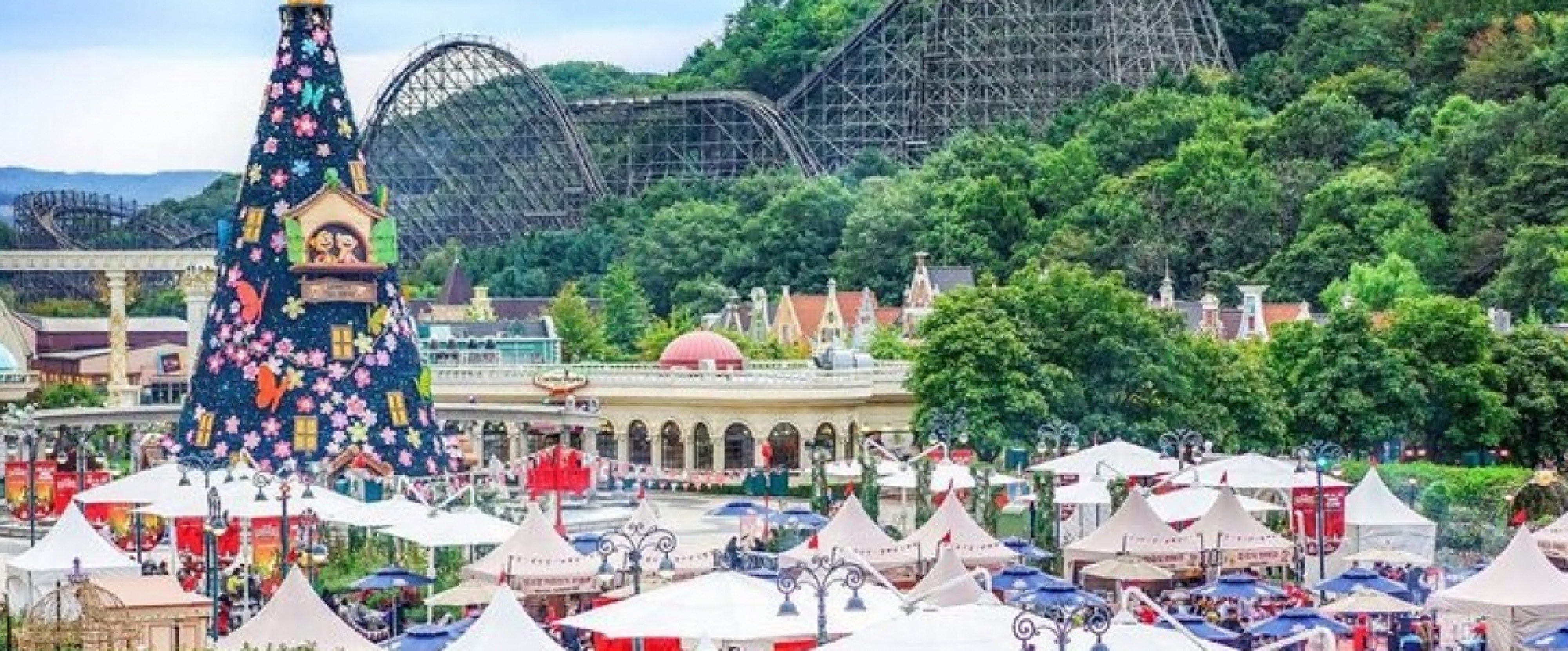 5D4N Seoul Tour photo 656