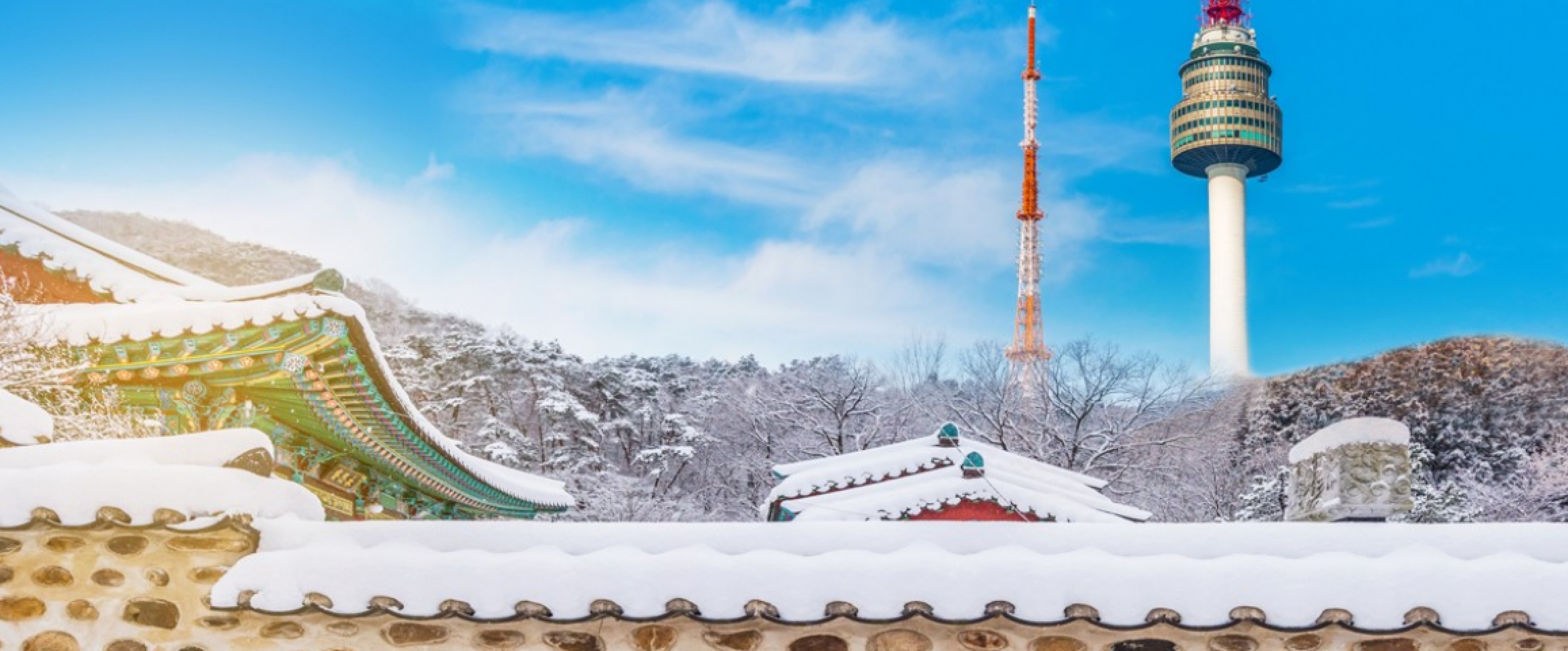 5D4N Winter in Seoul (Muslim) photo 658