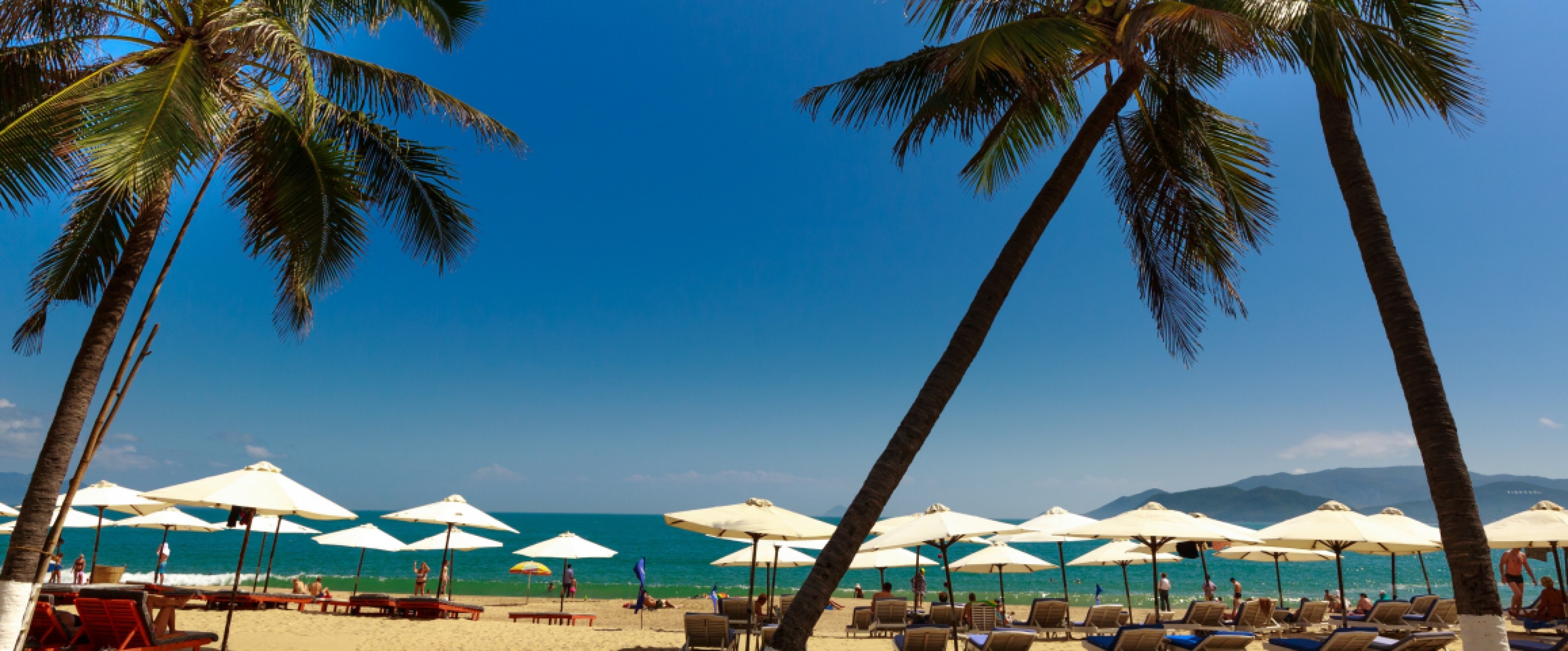 4D3N NHA TRANG/DALAT TOUR photo 663