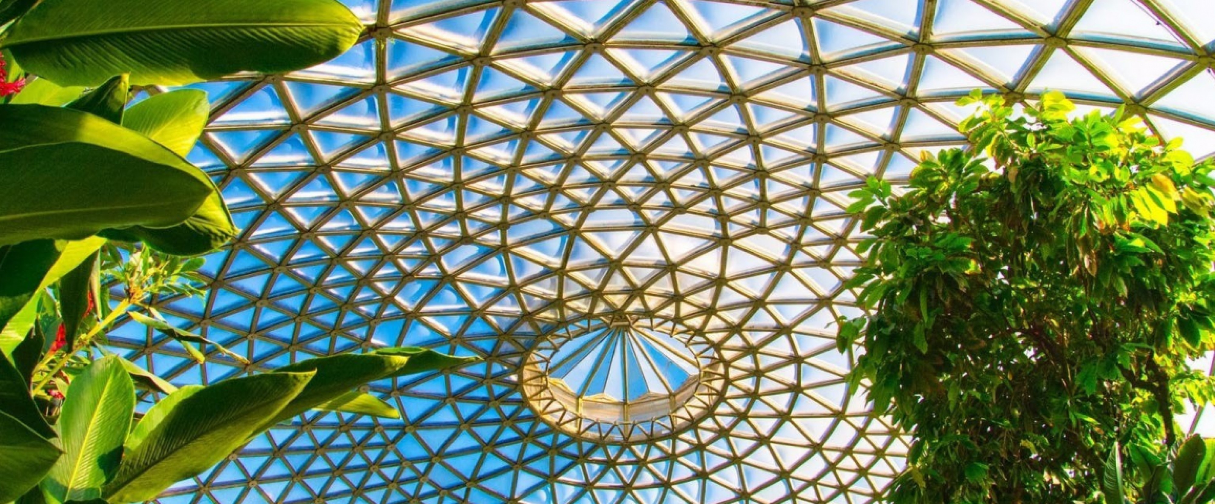 6D4N GOLD COAST & BRISBANE photo 672