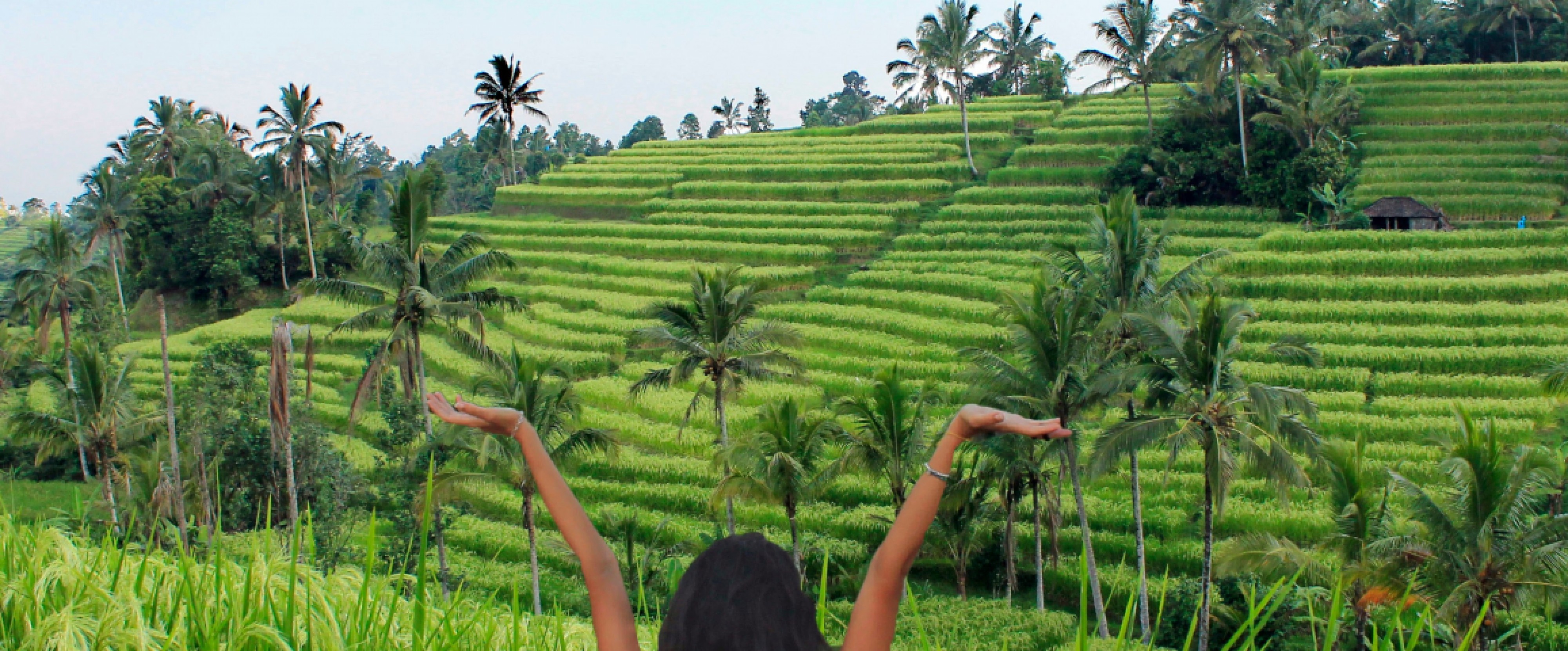 4D3N Bali Hidden Gems photo 695