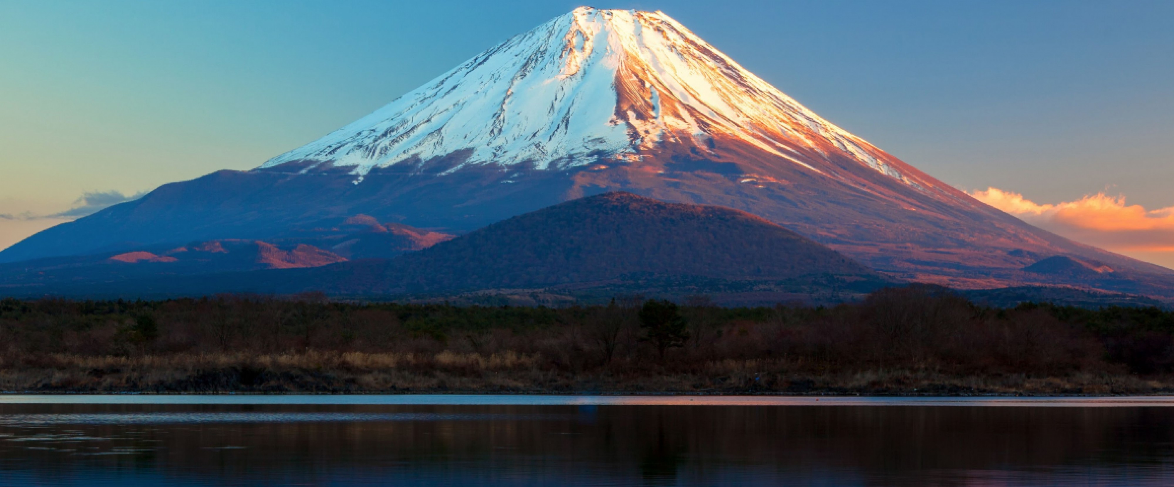 7D5N FLORAL KANTO + TOKYO FREE & EASY photo 699