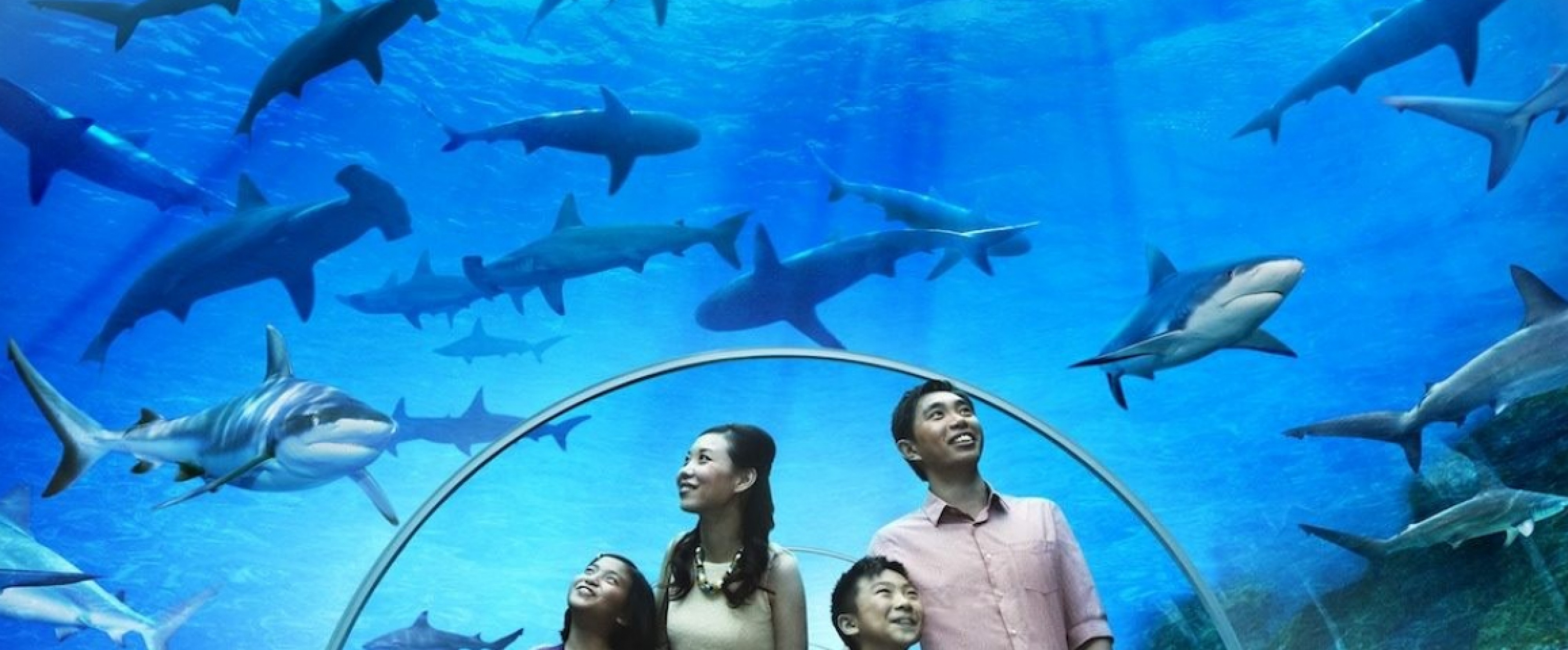 3D2N Langkawi Island & Sea Package photo 720