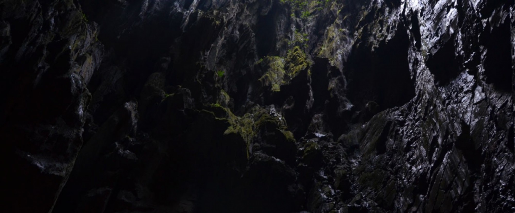 4D3N Mulu Cave + Headhunter Trails (Mulu National Park Chalet) photo 734