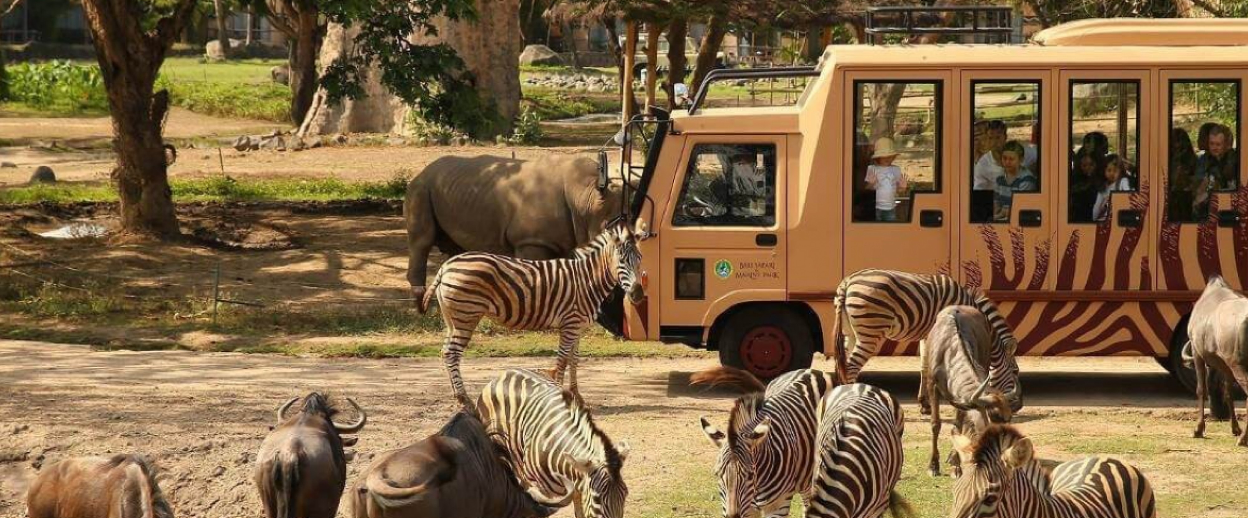 4D3N Bali + 1 Night Safari Tour Package photo 761