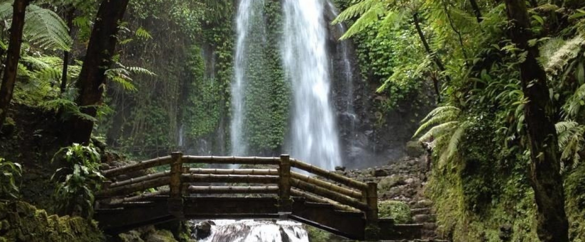 4D3N Joja Solo Package photo 779