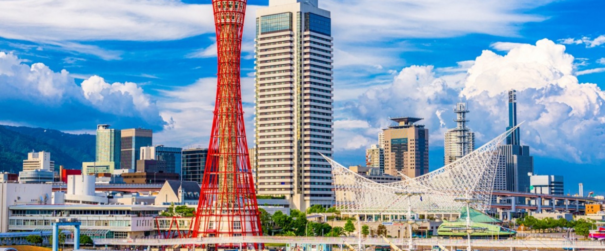 7D6N TOKYO/YOKOHAMA/MT.FUJI/KYOTO/NARA/OSAKA photo 791