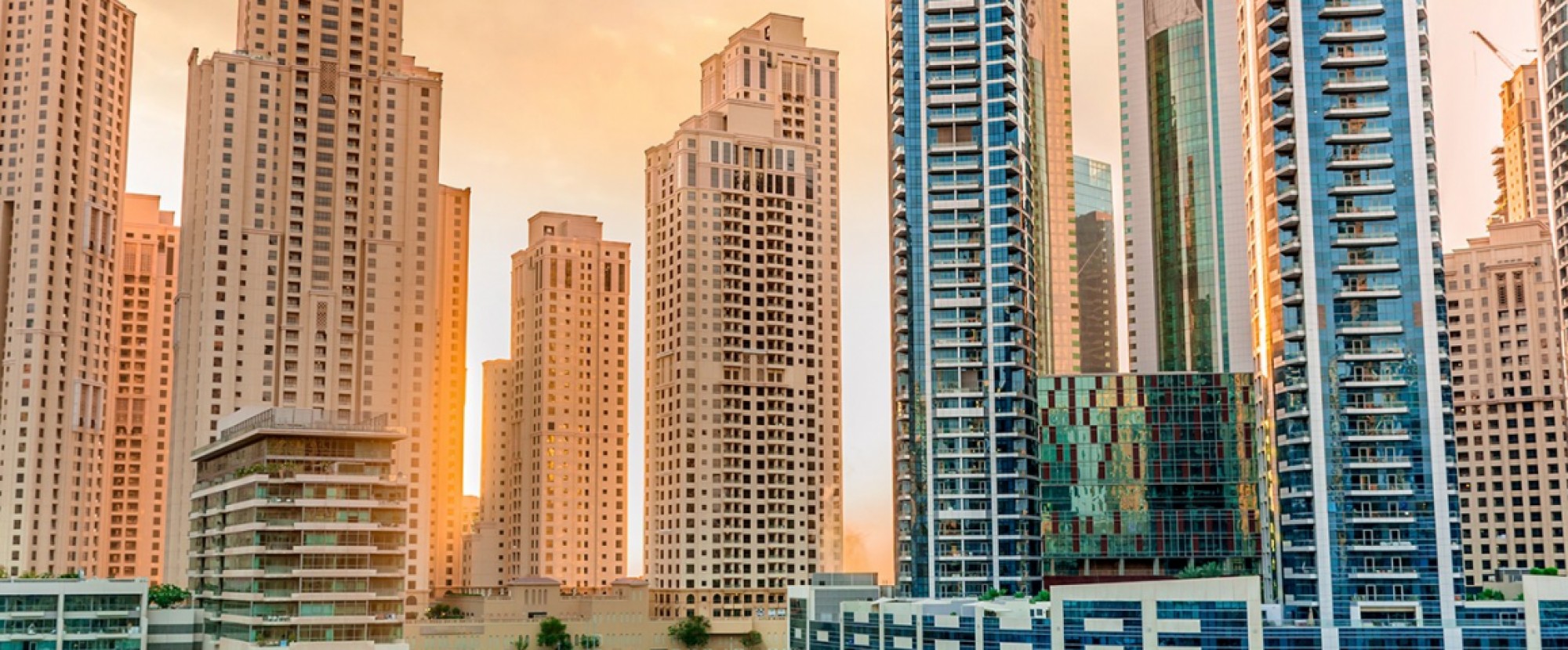 8D5N DUBAI + ABU DHABI + SAUDI ARABIA photo 836