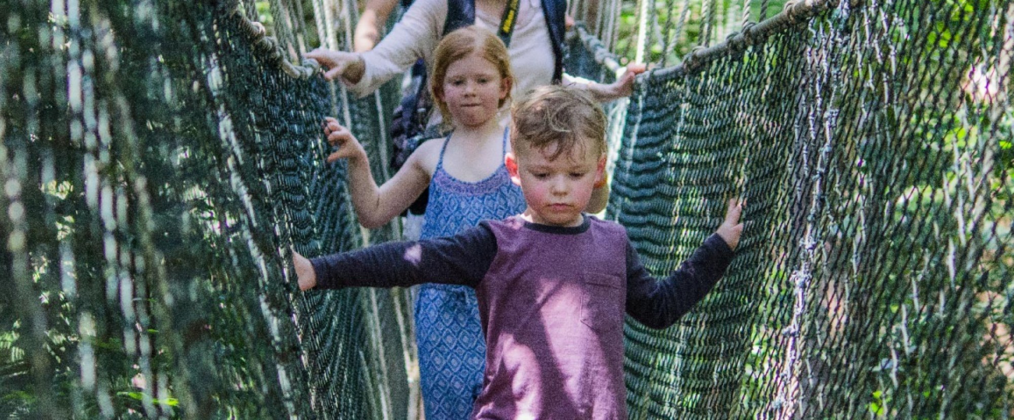 Mutiara Taman Negara - 3D2N Explorer Package photo 270