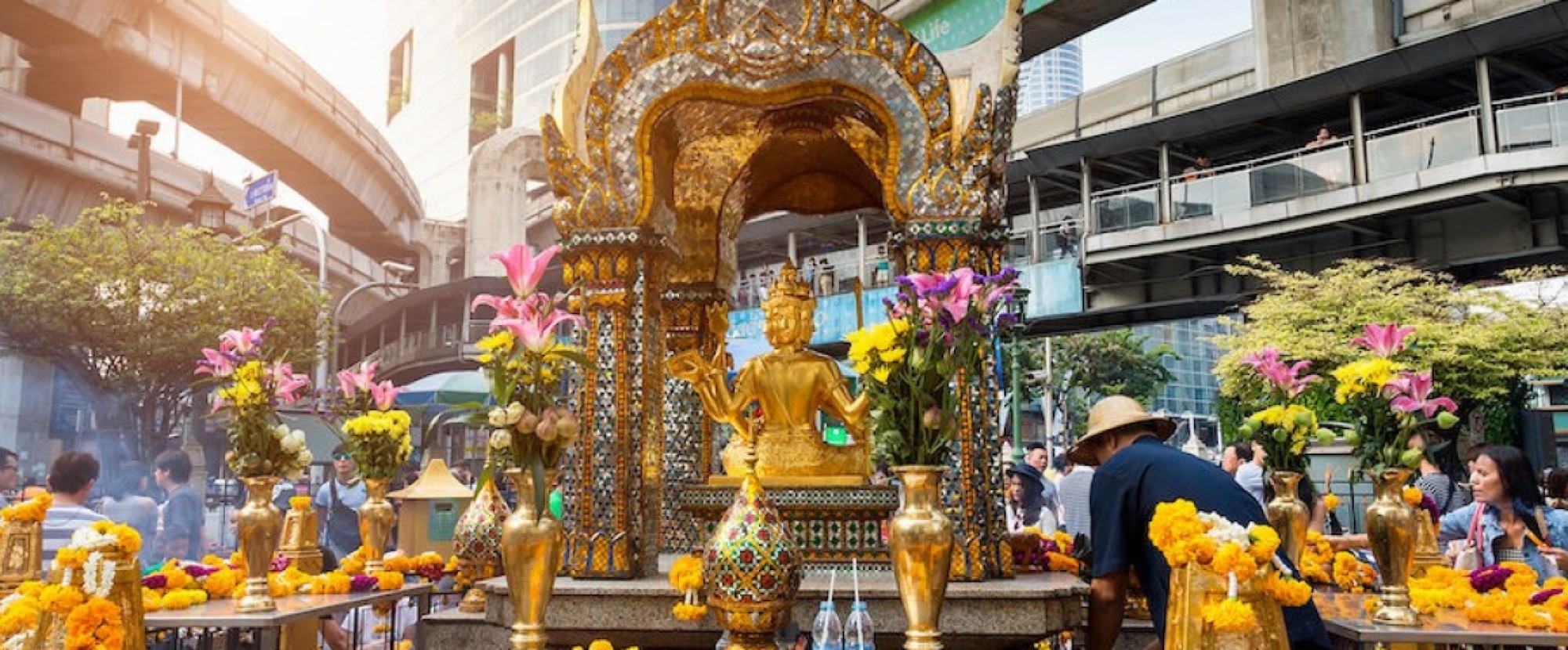 4D3N Amazing Bangkok Package photo 845
