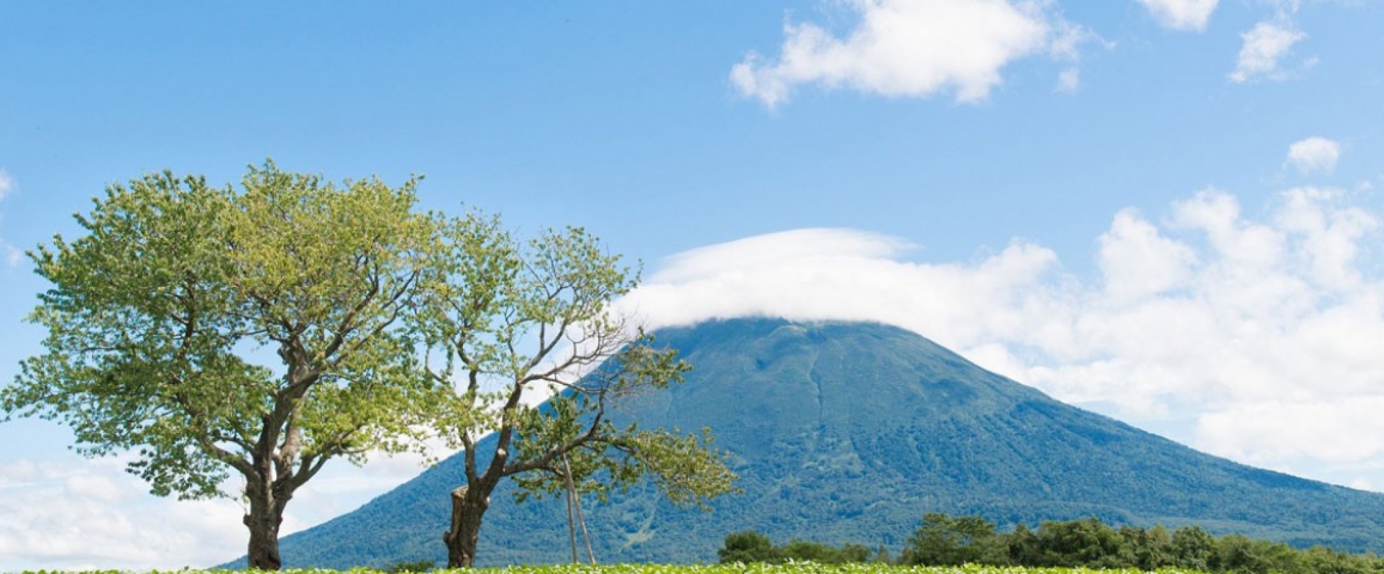 Hokkaido Private Tours 8D7N - Spring & Summer photo 887