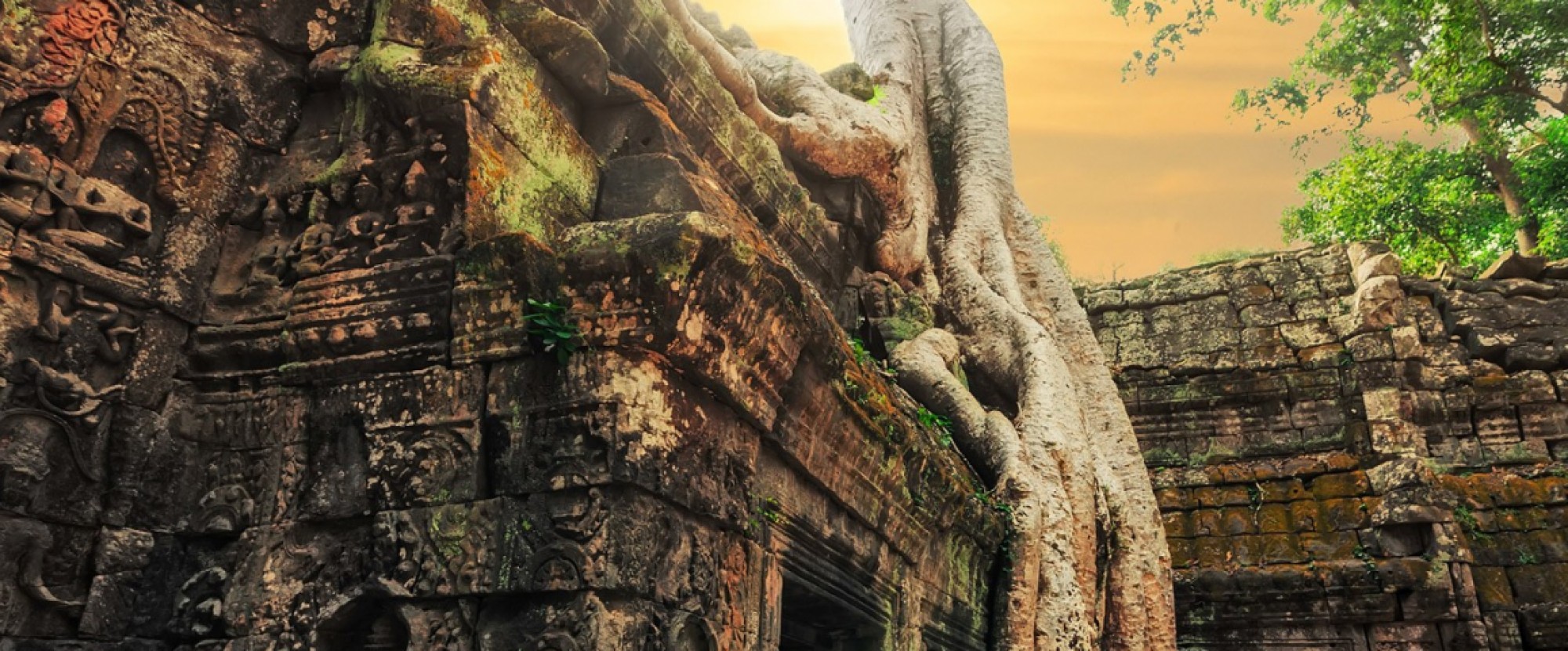 Siem Reap - 4D3N Full Board photo 913