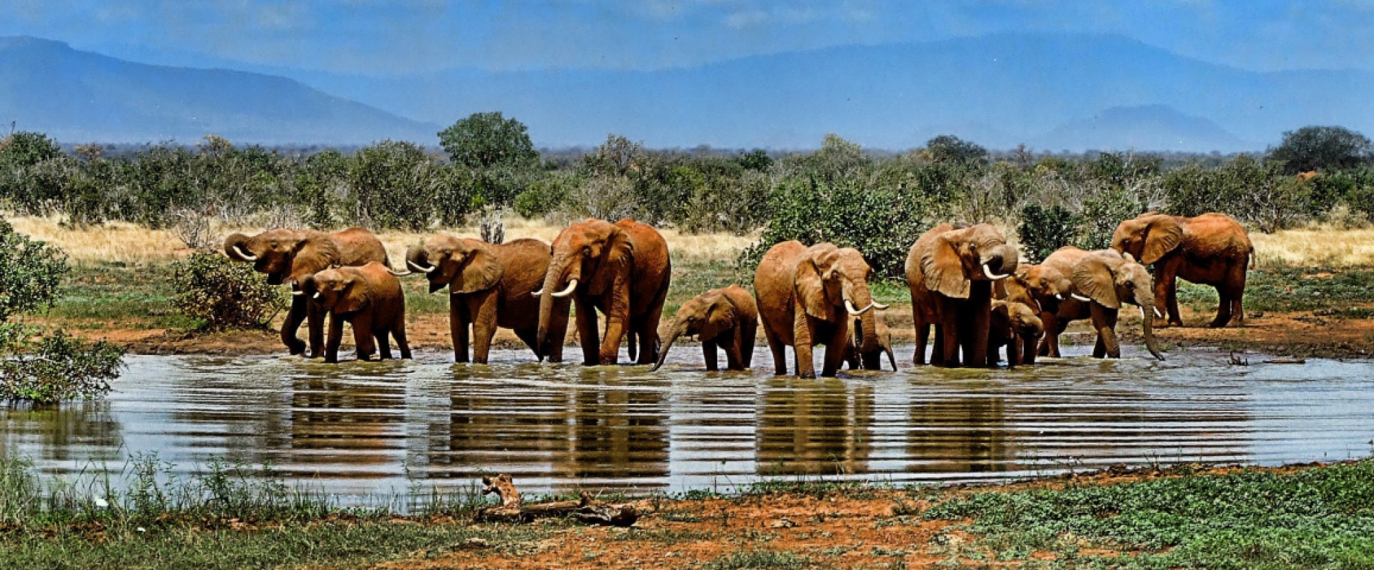 11H9M AFRIKA SELATAN - Muslim photo 937