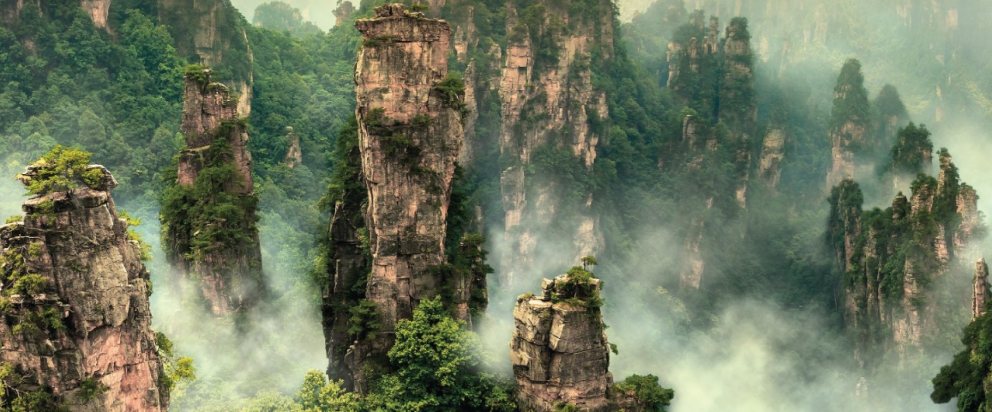 7D5N ZHANGJIAJIE / CHANGSHA / PHOENIX ANCIENT photo 875