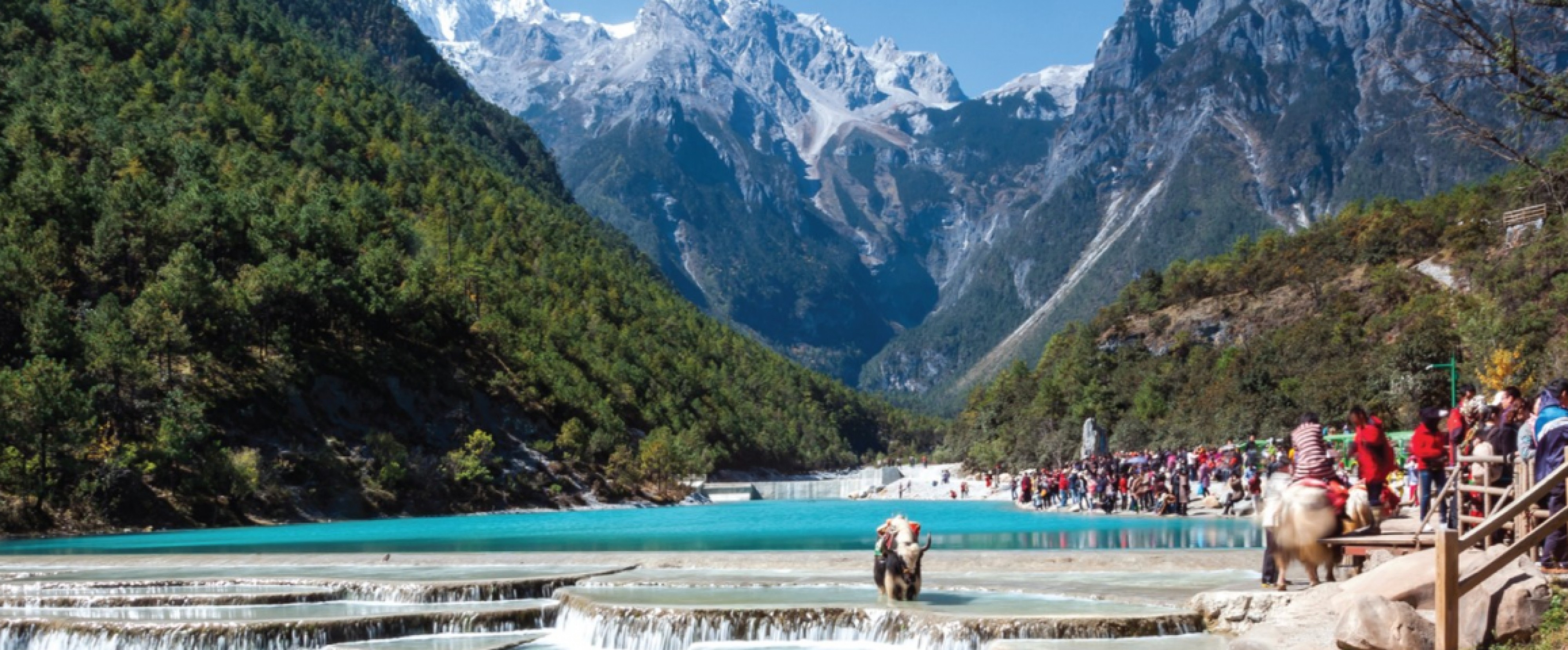 9D6N TOP-NOTCH YUNNAN photo 1095